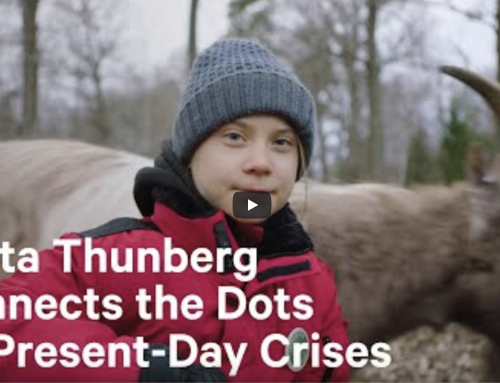 Greta Thunberg – Your Health & The Planet’s Are One and the Same