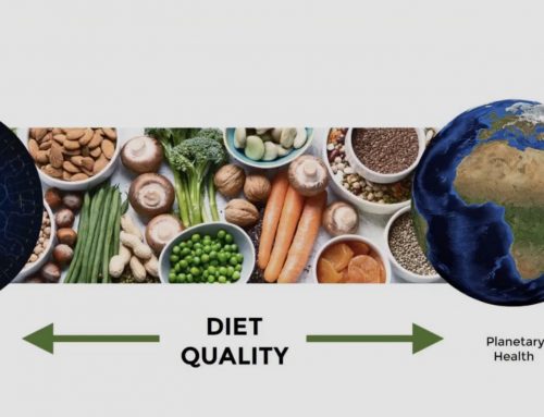 How good is your current diet, providing all essential nutrients?